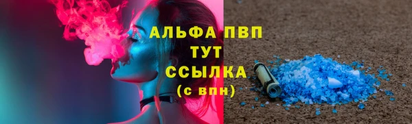 ПСИЛОЦИБИНОВЫЕ ГРИБЫ Абаза