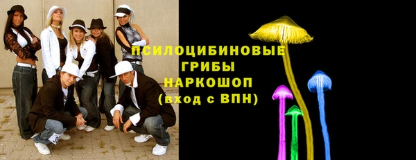 ПСИЛОЦИБИНОВЫЕ ГРИБЫ Абаза