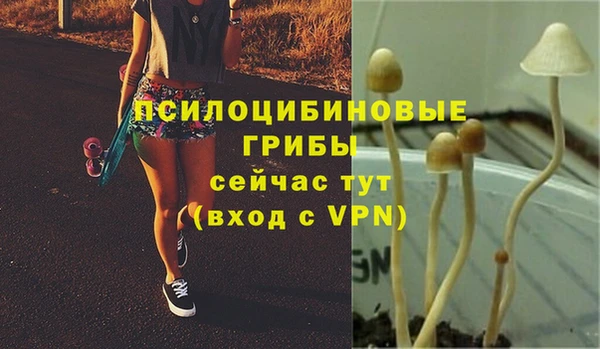 ПСИЛОЦИБИНОВЫЕ ГРИБЫ Абинск